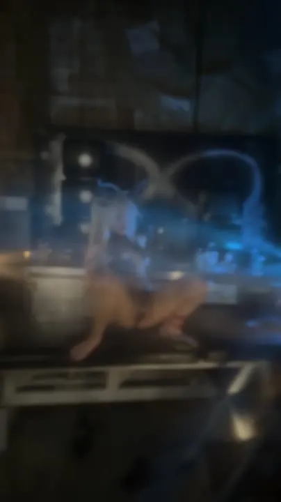 kaOri cosplay album kaOri: Silberner Spiegel Iori - Video 115